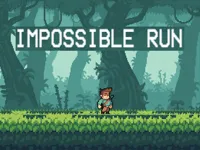 Impossible Run image